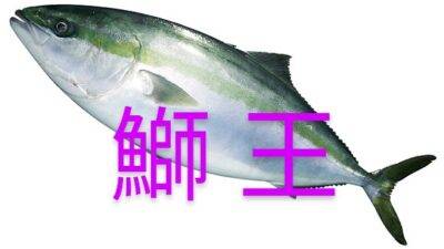 20日（火）【ブリ祭り🐟️】開催🍶