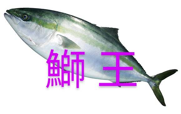 20日（火）【ブリ祭り🐟️】開催🍶